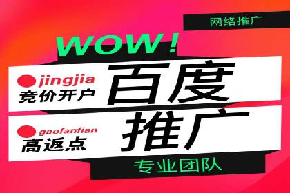 某知名企业SEM外包项目的成功经验分享